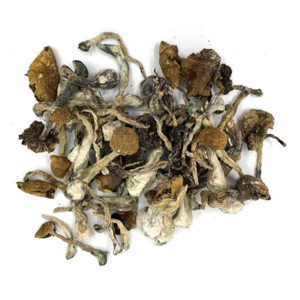 Buy Wavy Cap Mushrooms